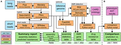 Prediction of Antibiotic Susceptibility Profiles of Vibrio cholerae Isolates From Whole Genome Illumina and Nanopore Sequencing Data: CholerAegon